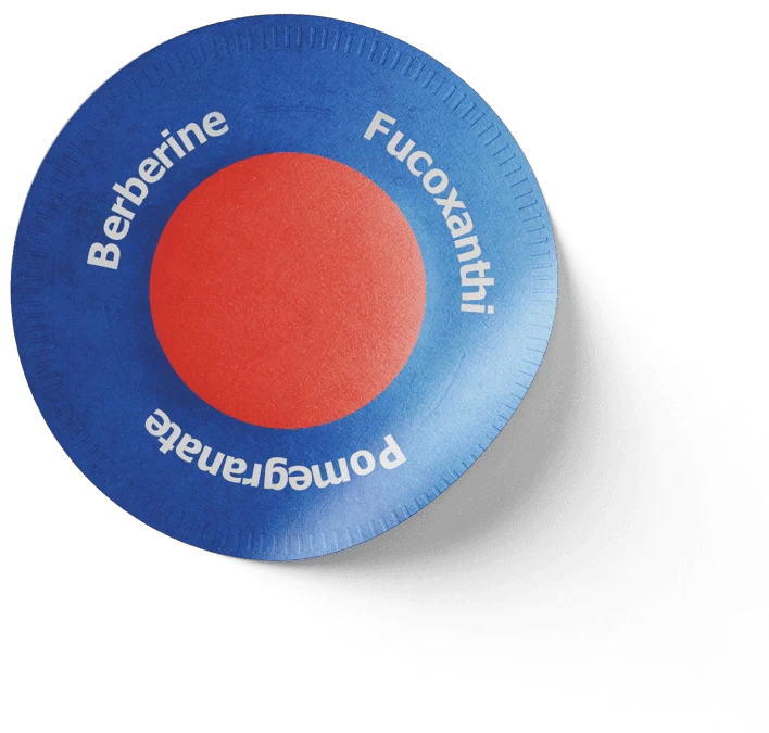 purasaki berberine patches buy